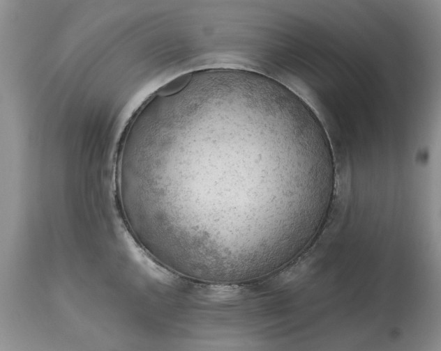 X0000113601144200910021735