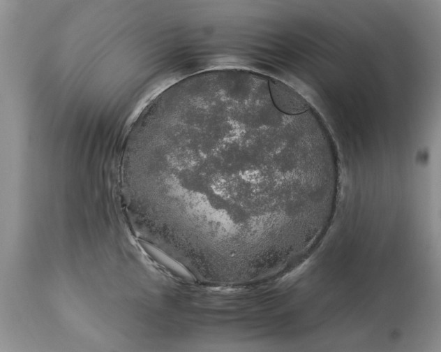 X0000113601145200910021735