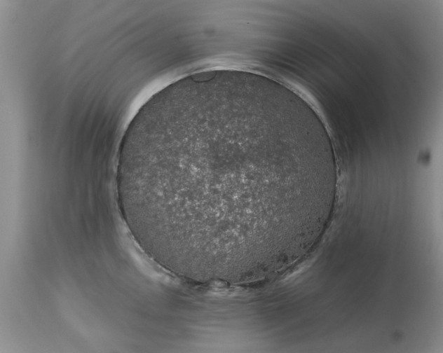 X0000113601146200910021735