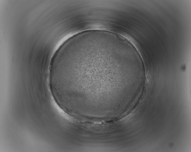 X0000113601147200910021735