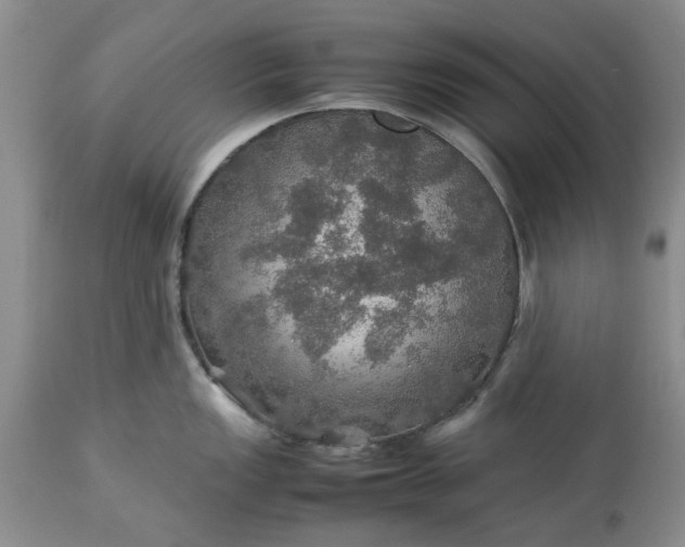 X0000113601149200910021735