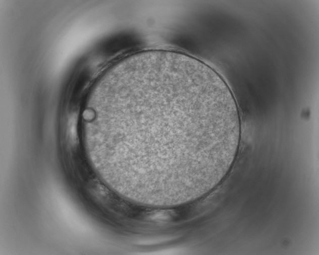 X0000113601150200910021735