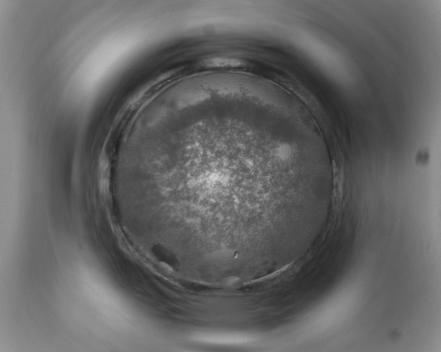 X0000113601151200910021735