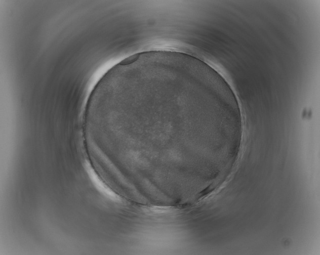 X0000113601152200910021735