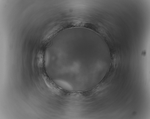 X0000113601154200910021734