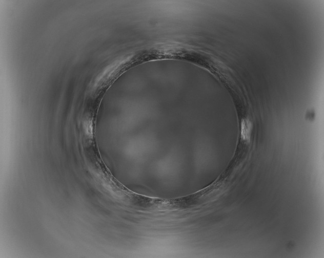 X0000113601155200910021734