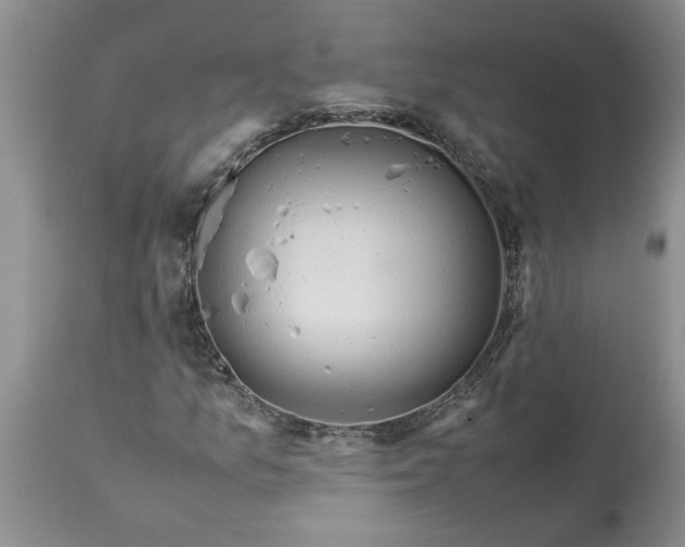 X0000113601157200910021734