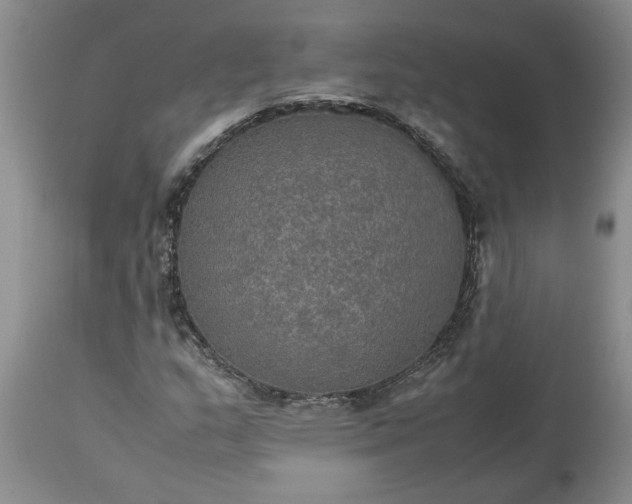 X0000113601159200910021734