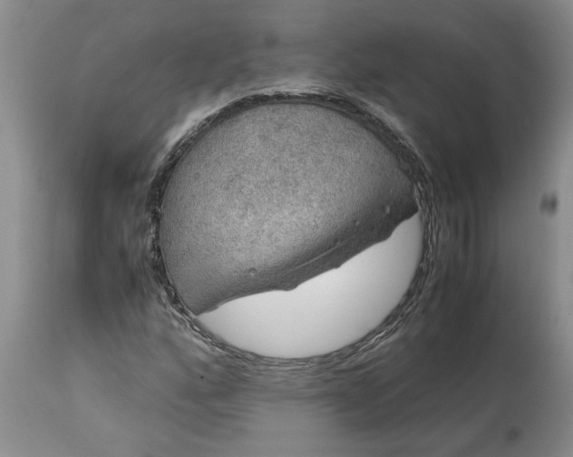 X0000113601160200910021734