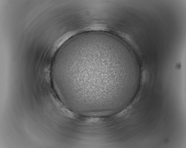 X0000113601162200910021734