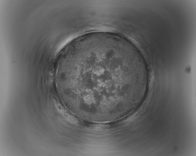 X0000113601163200910021734