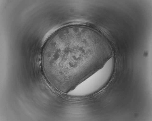 X0000113601164200910021734