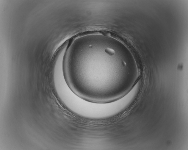 X0000113601165200910021734