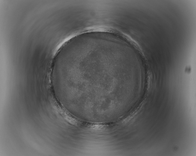 X0000113601166200910021734