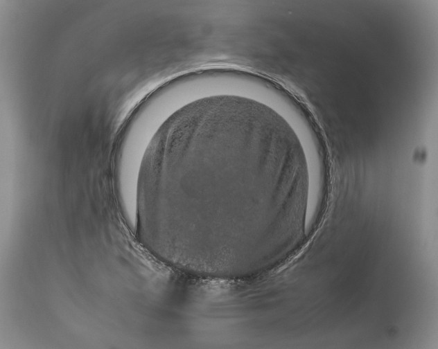 X0000113601167200910021734