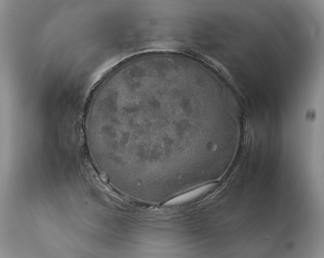 X0000113601168200910021734