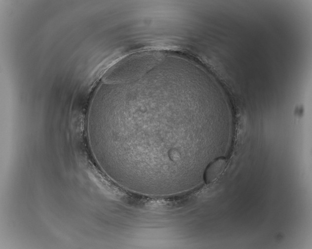 X0000113601169200910021734