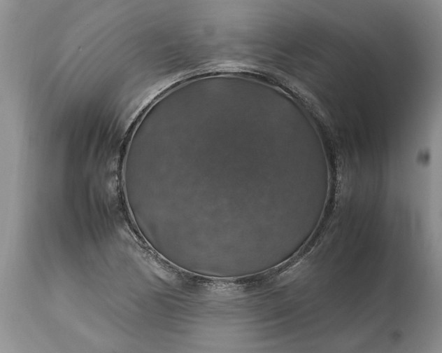 X0000113601170200910021734