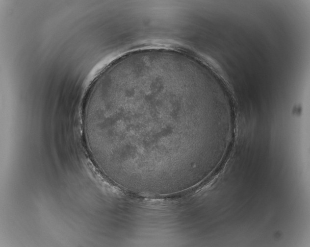 X0000113601172200910021734