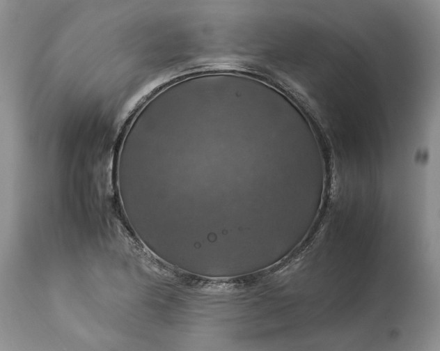 X0000113601174200910021734