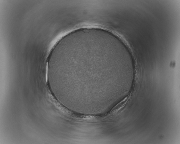 X0000113601175200910021734