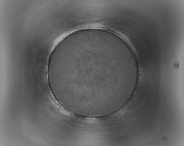 X0000113601176200910021734