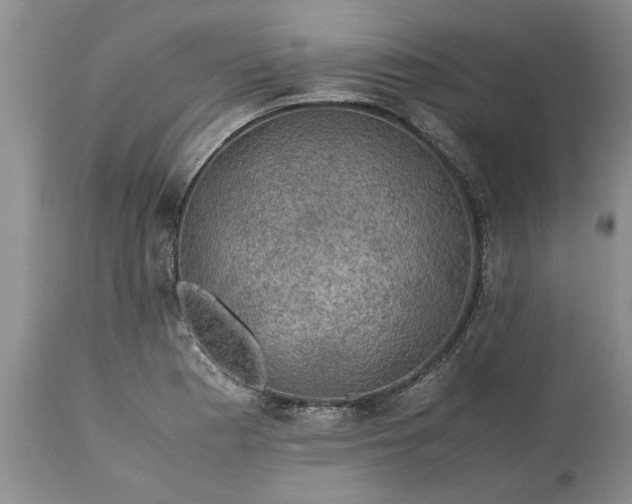 X0000113601177200910021734