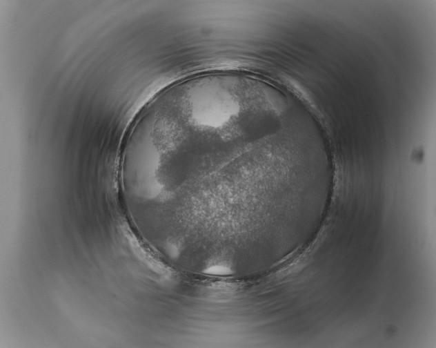 X0000113601178200910021734