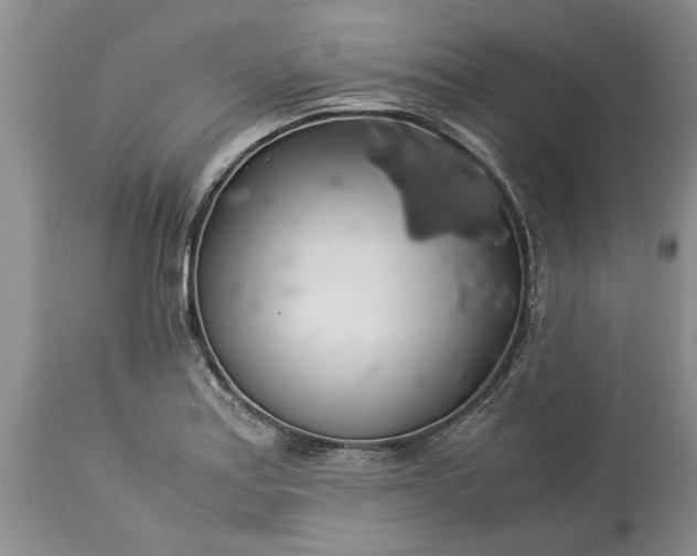 X0000113601179200910021734