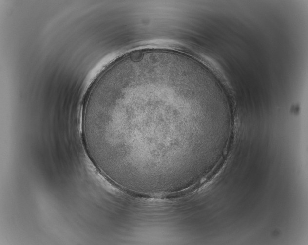 X0000113601180200910021734