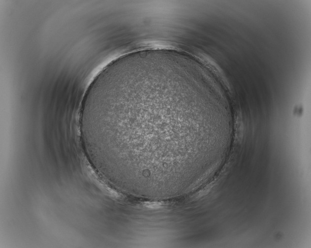 X0000113601182200910021734