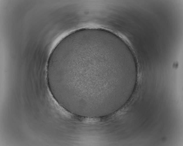 X0000113601183200910021734