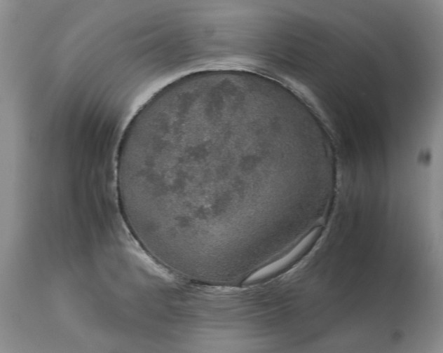 X0000113601184200910021734