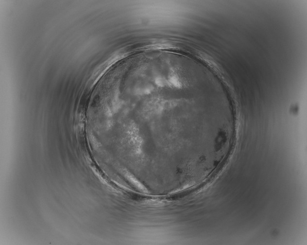 X0000113601185200910021734