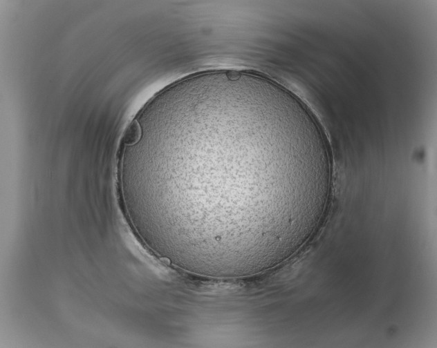 X0000113601187200910021734