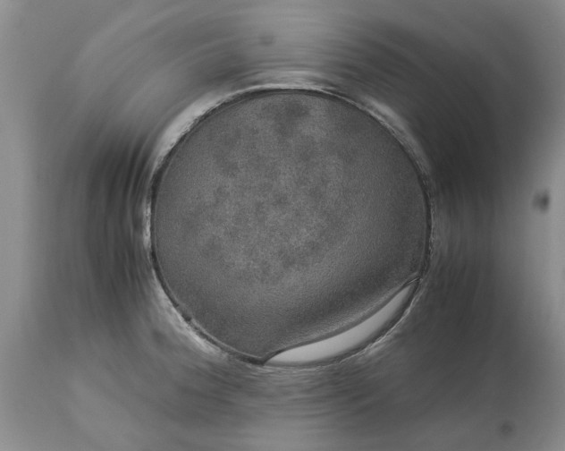 X0000113601188200910021734