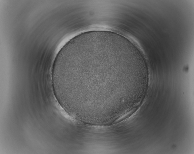 X0000113601192200910021734