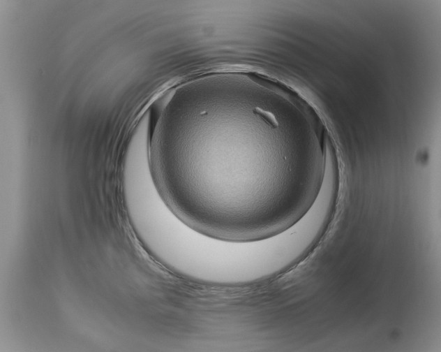 X0000113601193200910021734