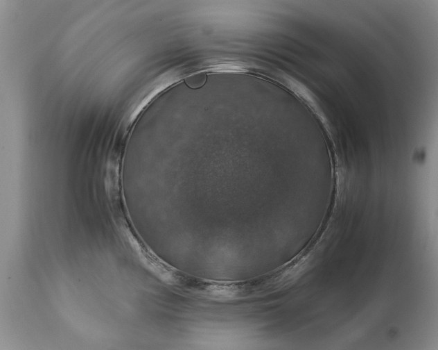 X0000113601194200910021734