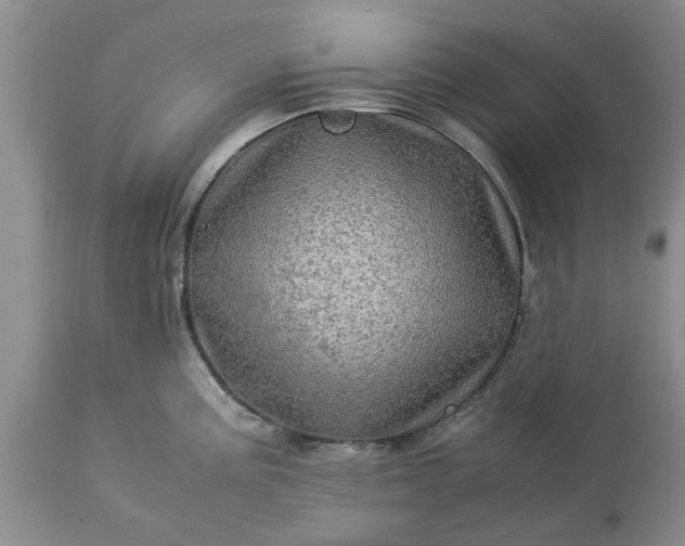 X0000113601195200910021734