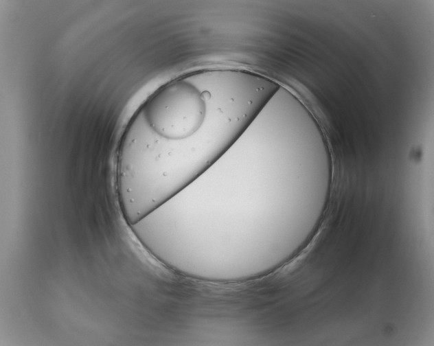 X0000113601196200910021734