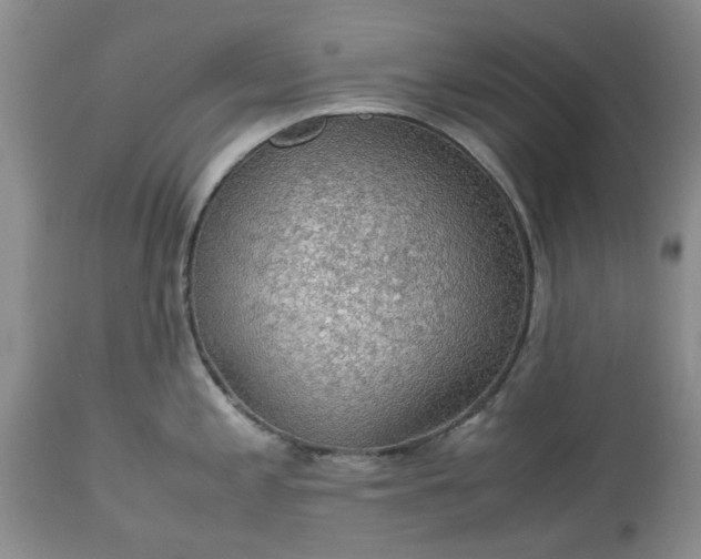 X0000113601197200910021733