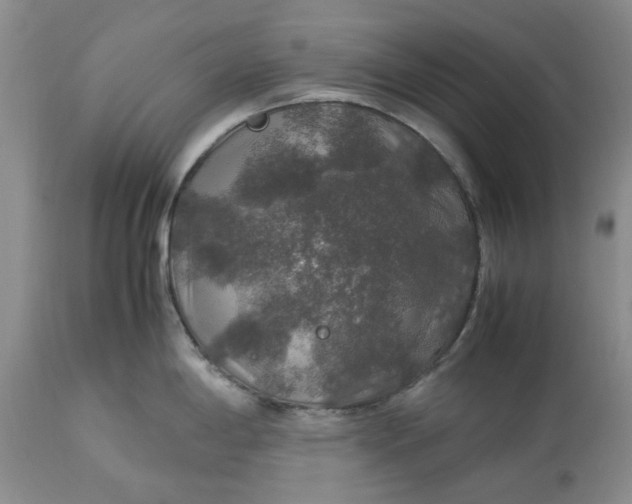 X0000113601198200910021733