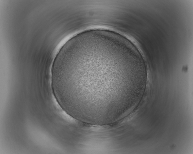 X0000113601199200910021733