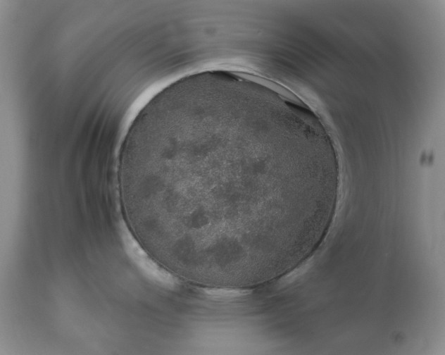 X0000113601200200910021733