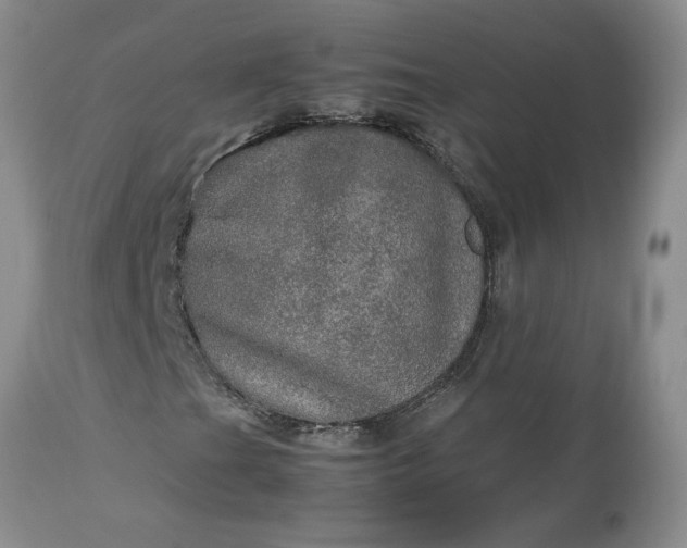 X0000113601201200910021733