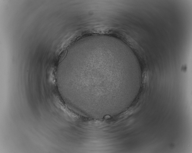 X0000113601202200910021733