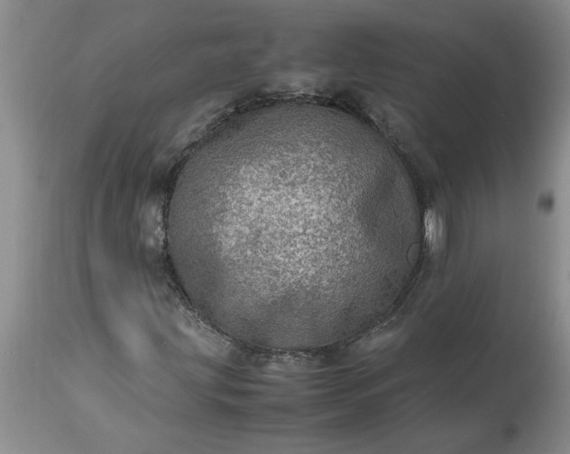 X0000113601203200910021733