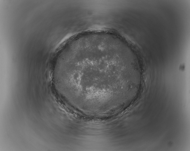 X0000113601206200910021733