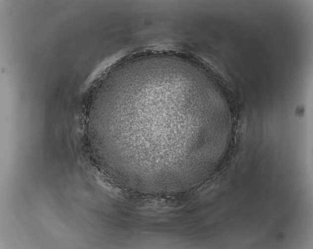 X0000113601207200910021733